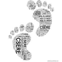 Csere, Visszaküldés